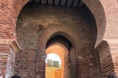 IMG-20240427-WA0000
