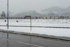 IMG-20240423-WA0005